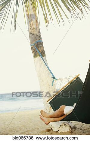 Hispanic man laying in hammock at beach View Large Photo Image Stock Photograph - Hispanic man laying in hammock at beach. Fotosearch