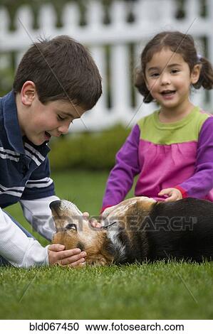 Stock Image - Brother and sister playing with dog in backyard. Fotosearch