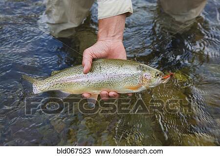 Stock Image - Fisherman holding fish near stream. Fotosearch