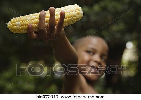 Stock Photo - African American boy holding ear of corn. Fotosearch