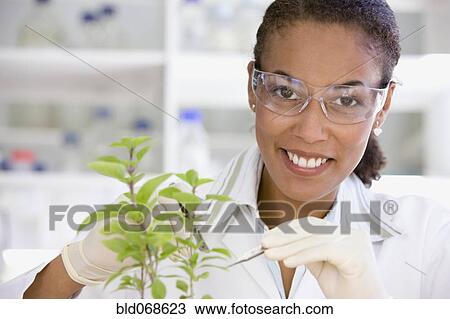 African scientist performing analysis in laboratory on plant View Large Photo Image Stock Image - African scientist performing analysis in laboratory on plant. Fotosearch