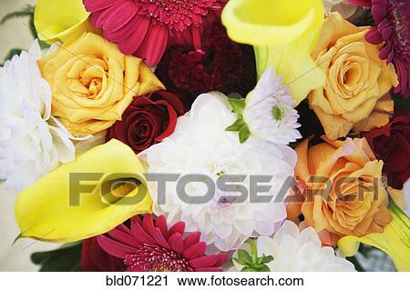 Stock Image - Close up of flower bouquet. Fotosearch