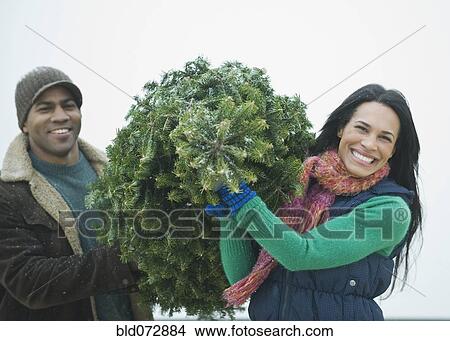 Picture - Couple carrying Christmas tree. Fotosearch