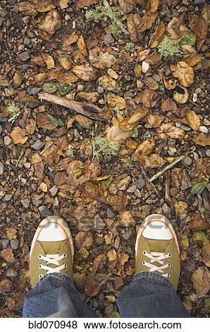 Stock Photo - High angle view of sneakers on nature trail. Fotosearch