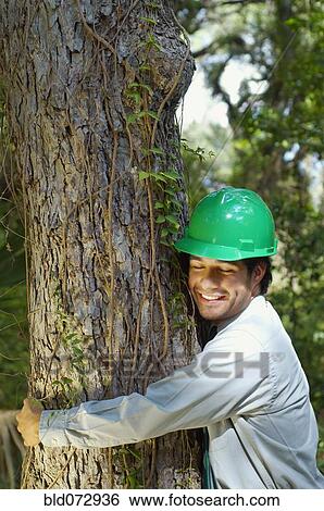 Stock Photograph - Hispanic businessman in green hard hat hugging tree. Fotosearch