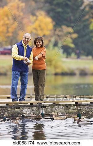 Picture - Hispanic couple feeding ducks in pond. Fotosearch