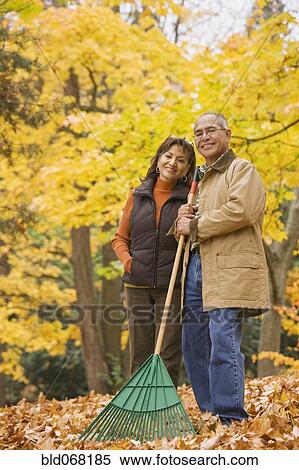 Stock Photography - Hispanic couple raking autumn leaves. Fotosearch