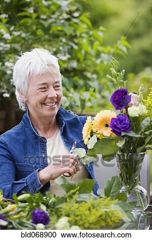 Senior woman smiling and arranging flowers in vase View Large Photo Image Stock Image - Senior woman smiling and arranging flowers in vase. Fotosearch
