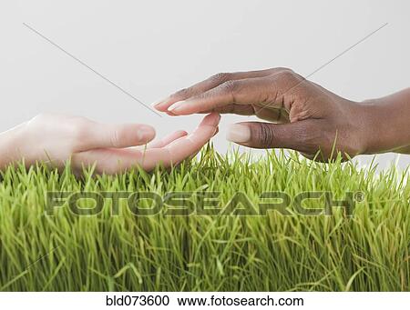 Stock Image - African and Caucasian woman about to hold hands. Fotosearch