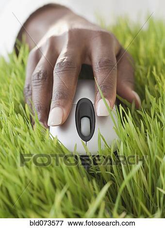 African woman using computer mouse in grass View Large Photo Image Stock Photo - African woman using computer mouse in grass. Fotosearch