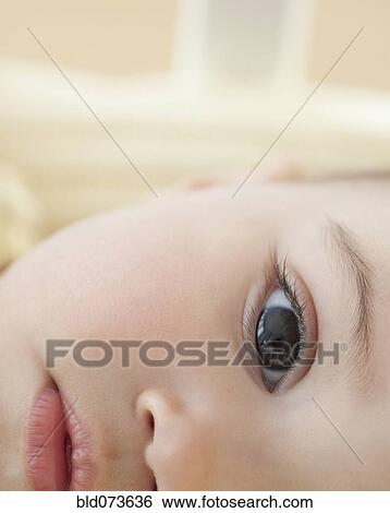 Close up of mixed race baby girl’s eye View Large Photo Image Stock Photograph - Close up of mixed race baby girl’s eye. Fotosearch
