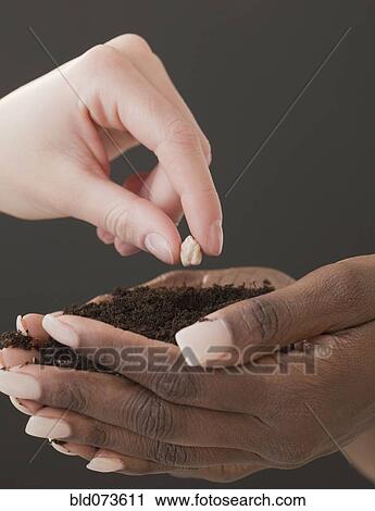 Woman planting seed in handful of soil View Large Photo Image Stock Image - Woman planting seed in handful of soil. Fotosearch