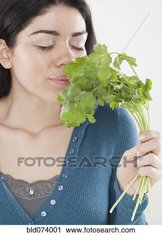 Stock Image - Hispanic woman smelling fresh cilantro. Fotosearch