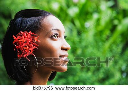 African woman with flowers in hair looking up View Large Photo Image Stock Photograph - African woman with flowers in hair looking up. Fotosearch