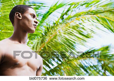 Bare chested African man in front of palm tree looking pensive View Large Photo Image Stock Photograph - Bare chested African man in front of palm tree looking pensive. Fotosearch
