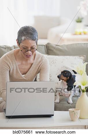 Dachshund watching Chinese woman using laptop in living room View Large Photo Image Stock Image - Dachshund watching Chinese woman using laptop in living room. Fotosearch