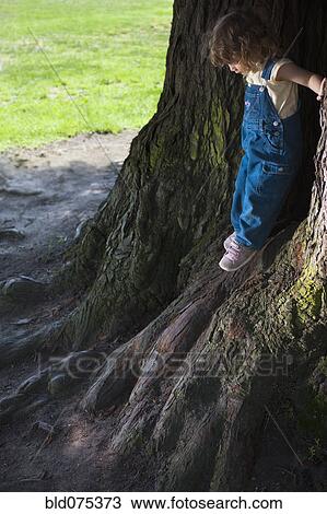 Stock Image - Mixed race girl leaning on tree trunks. Fotosearch