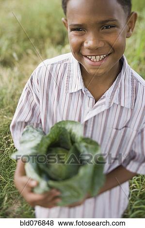 African boy holding cabbage in garden View Large Photo Image Stock Photo - African boy holding cabbage in garden. Fotosearch
