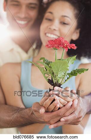 Couple cupping blooming seedling View Large Photo Image Stock Photography - Couple cupping blooming seedling. Fotosearch