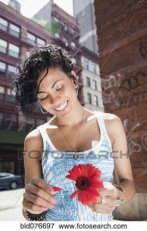 Mixed race woman picking petals off flower on urban street View Large Photo Image Stock Photo - Mixed race woman picking petals off flower on urban street. Fotosearch