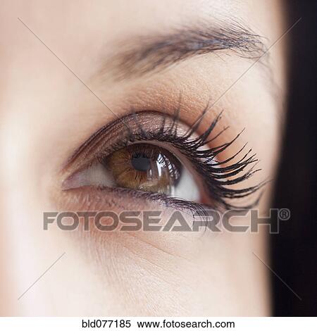 Close up of mixed race woman's eye View Large Photo Image Stock Photography - Close up of mixed race woman's eye. Fotosearch