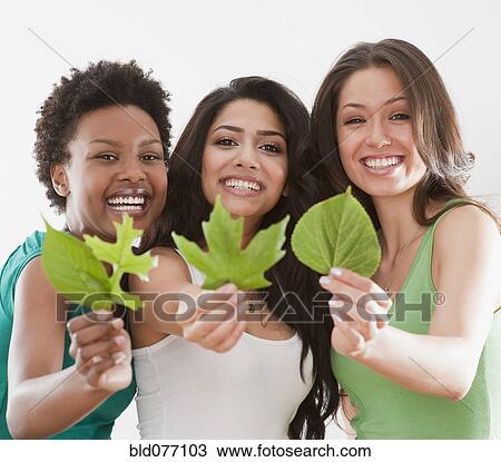 Friends holding out fresh, green leaves View Large Photo Image Stock Image - Friends holding out fresh, green leaves. Fotosearch