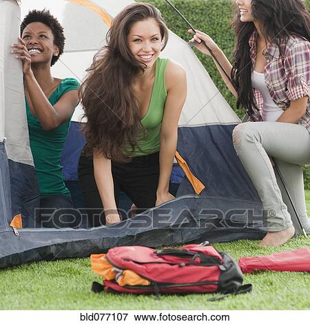 Friends putting up tent View Large Photo Image Stock Photo - Friends putting up tent. Fotosearch
