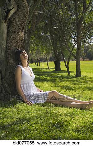 Stock Photography - Hispanic woman relaxing against tree in park. Fotosearch