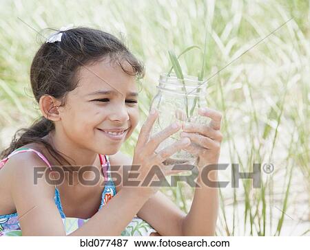 Hispanic girl looking at insect in jar View Large Photo Image Stock Photo - Hispanic girl looking at insect in jar. Fotosearch