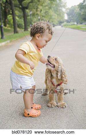 Hispanic girl petting dog View Large Photo Image Stock Image - Hispanic girl petting dog. Fotosearch
