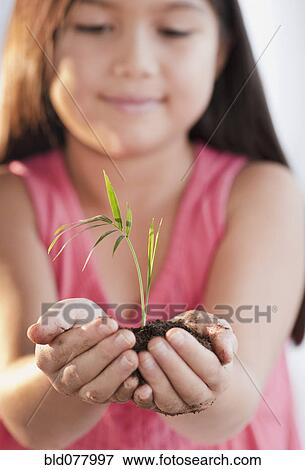 Stock Photo - Mixed race girl holding seedling. Fotosearch