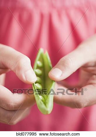 Stock Photography - Mixed race girl opening pea pod. Fotosearch