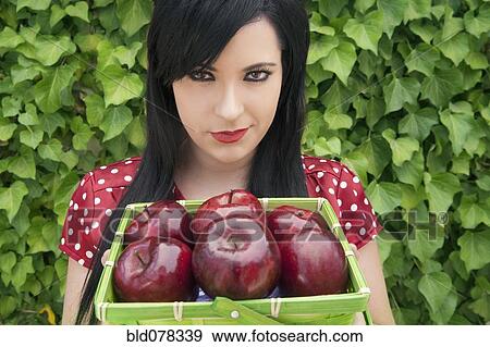 Hispanic woman holding basket of apples View Large Photo Image Stock Photo - Hispanic woman holding basket of apples. Fotosearch