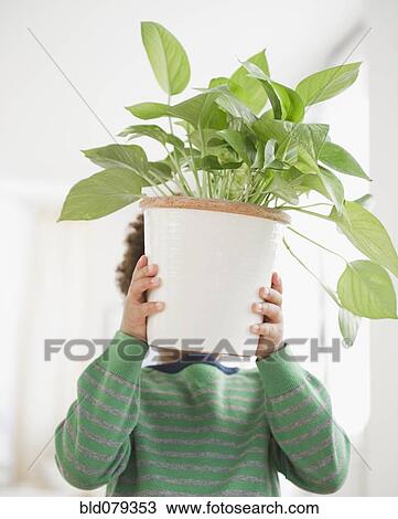 Black boy carrying potted plant View Large Photo Image Stock Image - Black boy carrying potted plant. Fotosearch