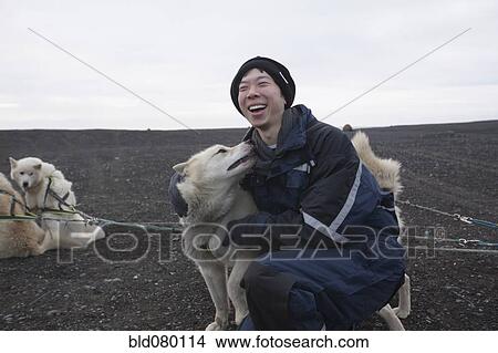 Picture - Chinese man petting dog in dog sled pack. Fotosearch