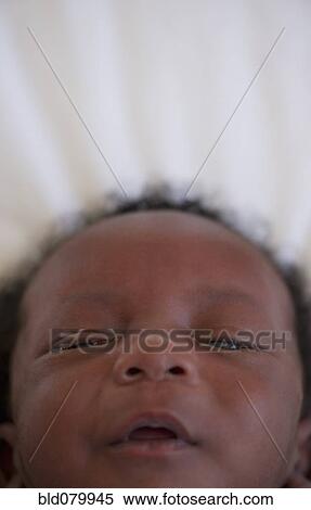 Newborn Black baby View Large Photo Image Stock Photography - Newborn Black baby. Fotosearch