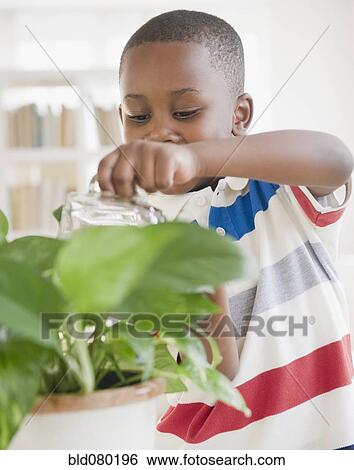 Black boy watering plant View Large Photo Image Stock Photograph - Black boy watering plant. Fotosearch