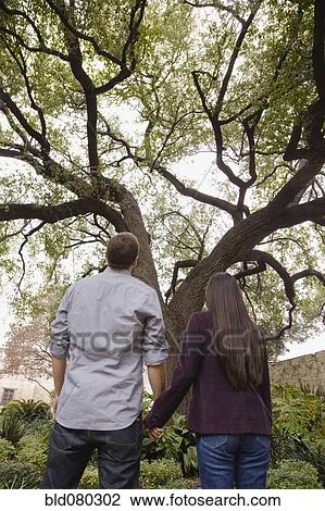 Stock Image - Couple holding hands and looking at tree. Fotosearch