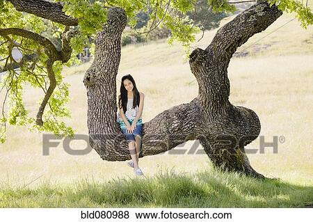Stock Photo - Hispanic girl sitting in tree. Fotosearch