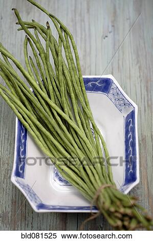 Close up of Chinese long beans View Large Photo Image Stock Photography - Close up of Chinese long beans. Fotosearch