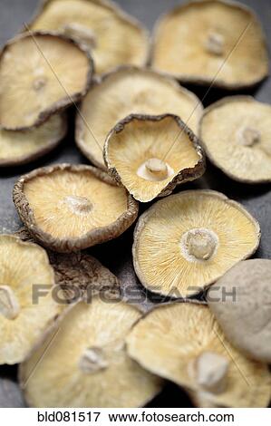 Stock Photo - Close up of dried Shitake mushrooms. Fotosearch