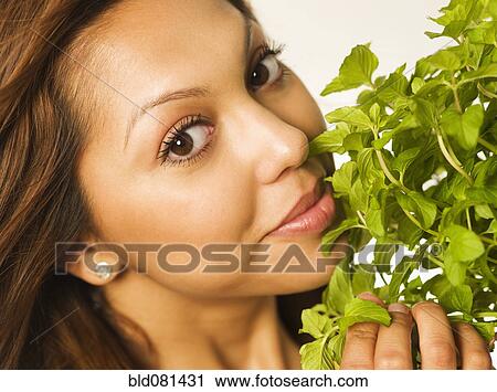 Close up of Hispanic woman smelling herbs View Large Photo Image Stock Image - Close up of Hispanic woman smelling herbs. Fotosearch