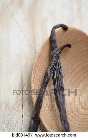 Stock Photo - Close up of Mexican vanilla beans on wooden spoon. Fotosearch