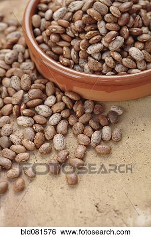 Stock Photograph - Pinto beans. Fotosearch