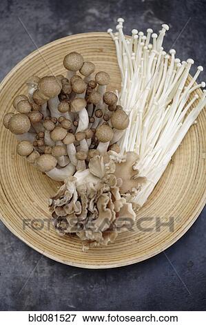 Variety of Asian mushrooms in basket View Large Photo Image Stock Photo - Variety of Asian mushrooms in basket. Fotosearch