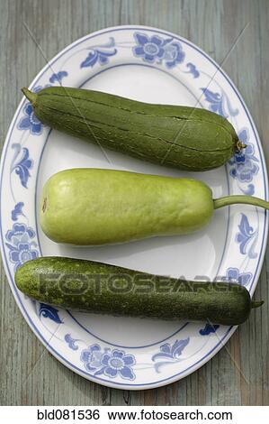 Variety of Asian squash on platter View Large Photo Image Stock Photograph - Variety of Asian squash on platter. Fotosearch