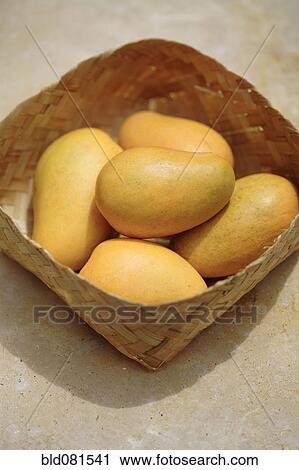 Stock Image - Yellow mangoes in basket. Fotosearch