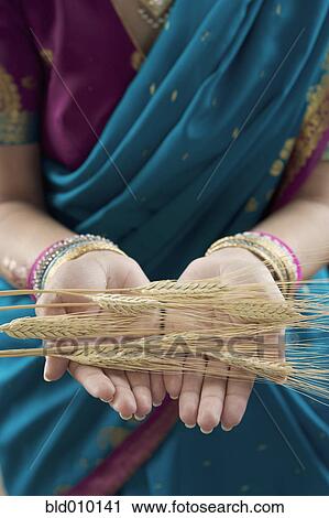 Stock Image - Close up of grain in Indian woman's hands. Fotosearch