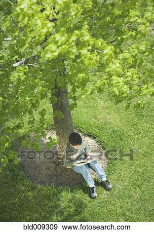 Overhead view of boy reading under tree View Large Photo Image Stock Photo - Overhead view of boy reading under tree. Fotosearch