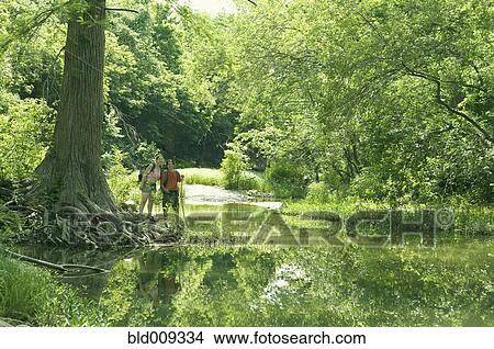 Young couple standing in a forest View Large Photo Image Picture - Young couple standing in a forest. Fotosearch